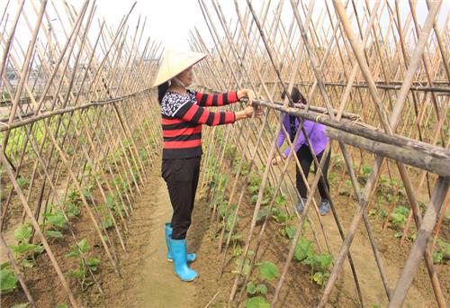 Ngăn chặn, xử lý nghiêm tình trạng xây dựng đón đền bù đối với các dự án