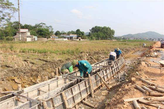  Đầu tư cho vùng sản xuất rau an toàn ứng dụng công nghệ cao