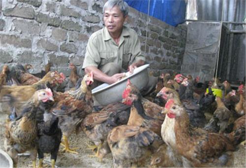 Tận tụy lo việc chung