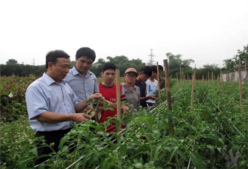 Đẩy mạnh nghiên cứu khoa học và chuyển giao công nghệ