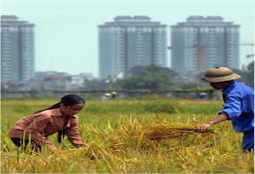 Tiết kiệm đất đai là quốc sách