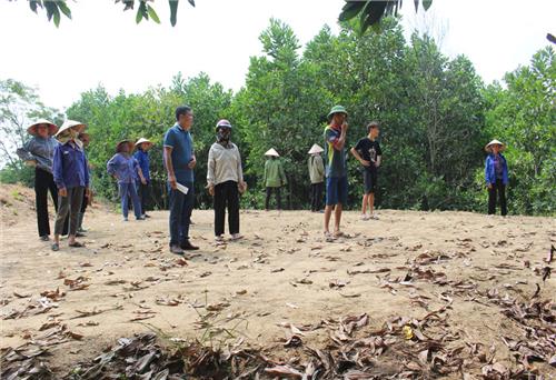 Lấn chiếm đất công tại xã Bàn Đạt: Đã có cơ sở pháp lý để giải quyết dứt điểm