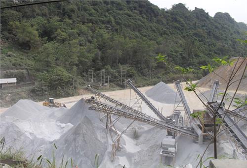 Công ty TNHH Hải Bình: Thu nhập bình quân của người lao động tăng 11%