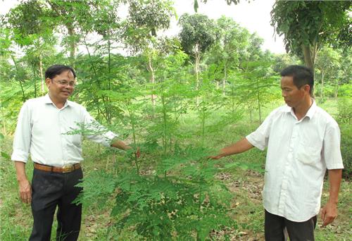 Đại học Thái Nguyên: Thực hiện 30 nhiệm vụ khoa học công nghệ cấp tỉnh