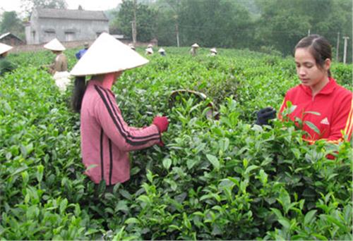Sự lựa chọn của người dân Đồng Hỷ