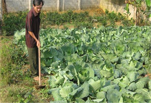 Người luôn “nói đi đôi với làm”