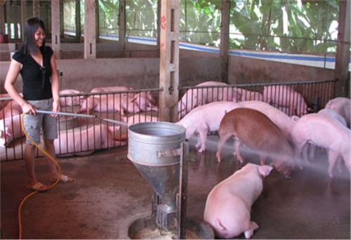 Nhớ lời Bác dạy quyết đánh tan “giặc đói”