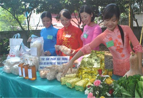 Increasing the Economic Value of Tea in Phu Hoi