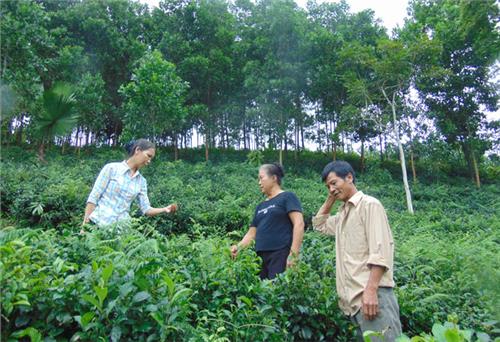 Động lực lớn nhất là sự tín nhiệm của nhân dân
