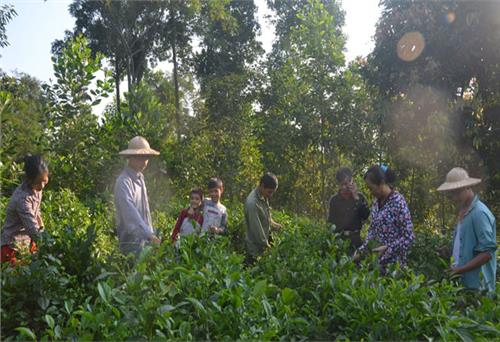 Lan tỏa từ những việc làm cụ thể