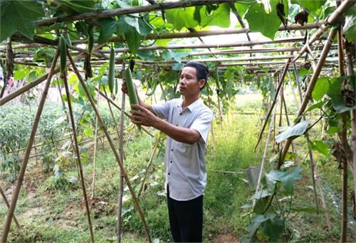 Chú trọng phát triển đảng viên trong đồng bào công giáo