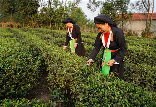 Nâng cao đời sống cho đồng bào