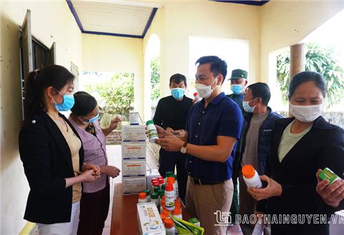 Hiệu quả khi xây dựng mã số vùng trồng chè