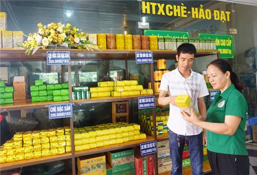 Nữ giám đốc hợp tác xã năng động