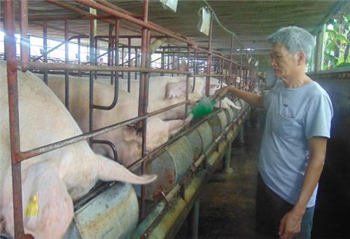Nghị lực vượt khó của một thương binh
