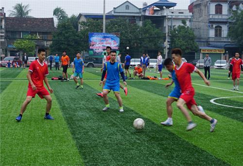 Tổ chức Giải bóng đá truyền thống nam thanh niên
