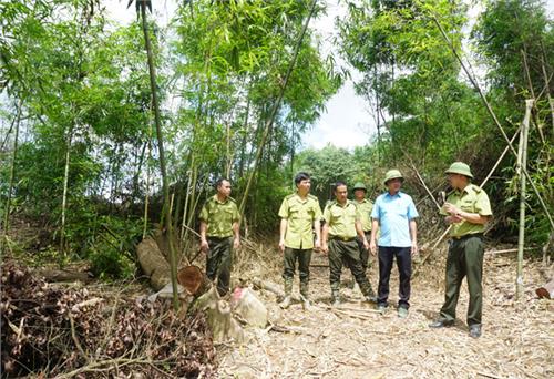  Không có việc bao che cho sai phạm 