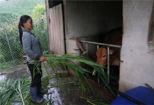 Việc làm nhỏ, ý nghĩa lớn