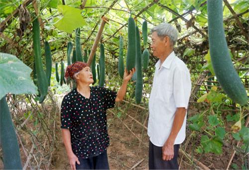 Nguyện làm tai, mắt của dân