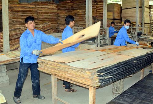 Dấu ấn kinh tế hợp tác 