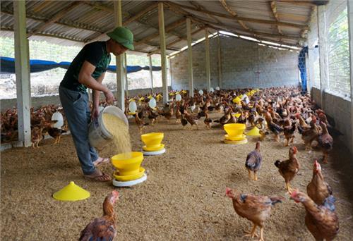 Nguyện vọng của cử tri đã được giải quyết