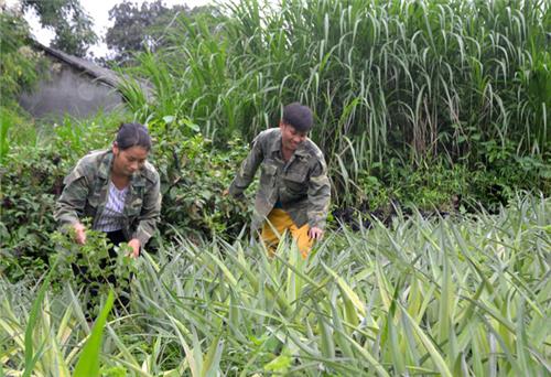 Chia tách chi bộ sinh hoạt ghép ở Phú Lương: Vận dụng phù hợp điều kiện thực tế