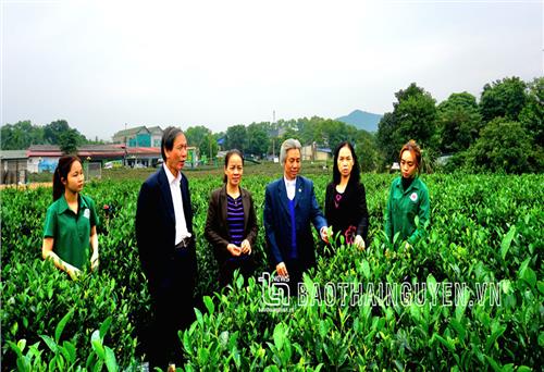 Đóng góp quan trọng vào sự phát triển kinh tế - xã hội