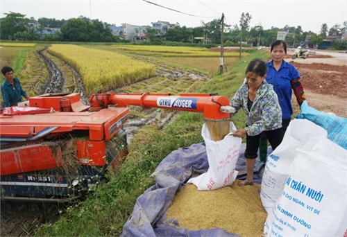 Chọn những điểm mạnh làm đà