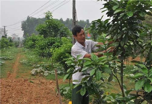 Người bí thư chi bộ miệng nói, tay làm