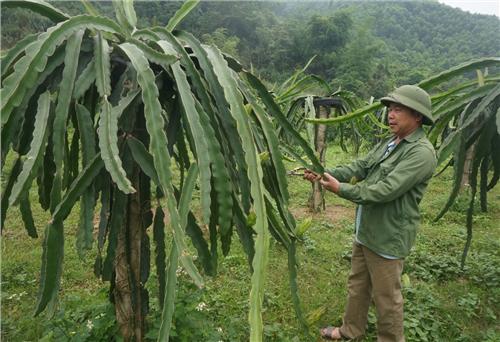 Học Bác từ những việc làm cụ thể