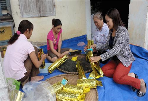 Làng nghề chè náo nức ngày hội lớn