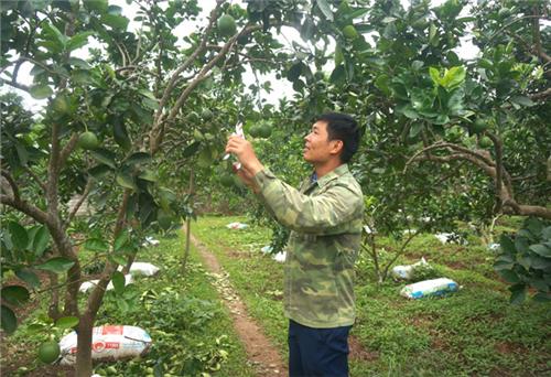 Chú trọng tạo nguồn phát triển đảng viên trẻ