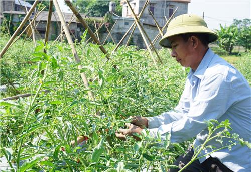 Tập trung lãnh đạo phát triển kinh tế