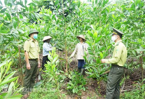 Vì một không gian sống sạch