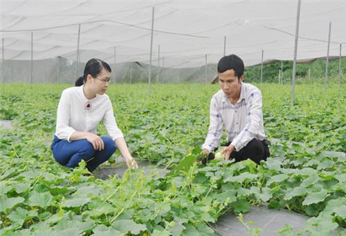 Xóm Vinh Quang 2 đạt chuẩn nông thôn mới kiểu mẫu