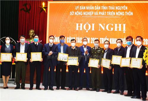 Tập trung phát triển sản phẩm nông nghiệp chủ lực của tỉnh