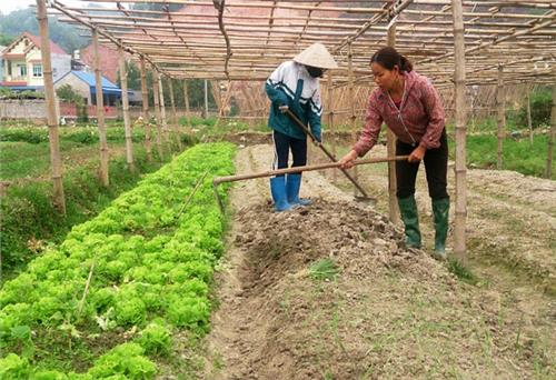 Trọn bổn phận đạo - đời: Cái khó 