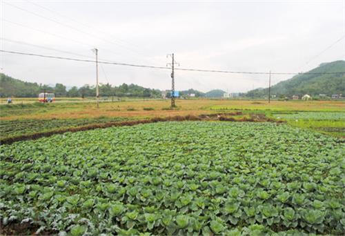 “Cơm phố Giá, cá làng Đu”