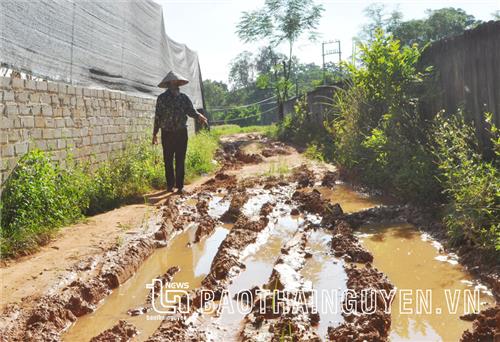 Phú Bình: Dân khổ vì tuyến đường lầy lội