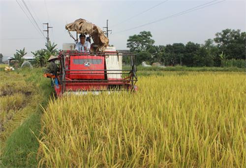 Đòn bẩy phát triển nông nghiệp ở Đại Từ