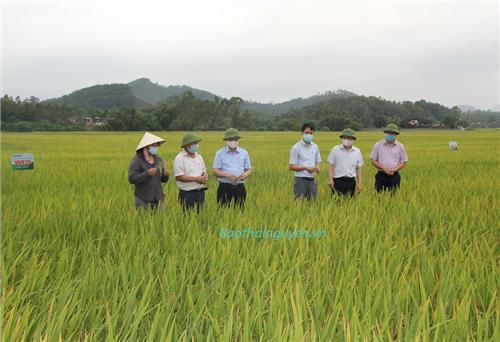 Đưa khoa học đến với nông dân