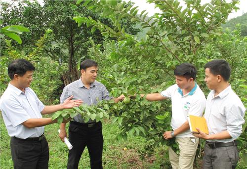 Thái Nguyên: Thực hiện trên 300 đề tài, dự án khoa học công nghệ 