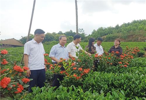 Phú Lương: Hỗ trợ phát triển mô hình du lịch nông nghiệp