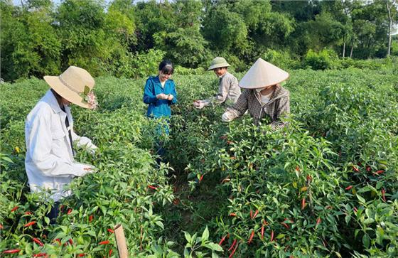 Khát vọng làm giàu của nữ giám đốc trẻ