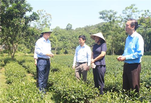 Kiểm tra tiến độ Dự án Phát triển cộng đồng bền vững tại Yên Lạc