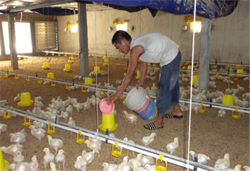 Biến ước mơ thành hiện thực