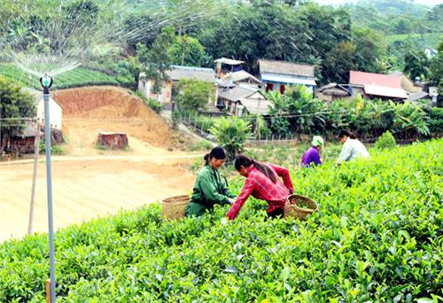 Triển khai Chương trình giảm nghèo bền vững: Không ai đứng ngoài cuộc