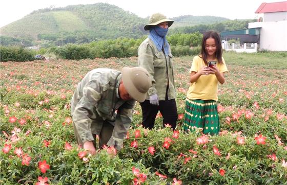 Phú Lương: Giao trên 551 nghìn m2 đất cho đồng bào vùng dân tộc thiểu số