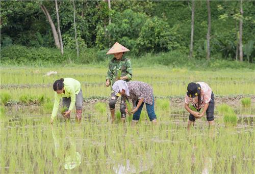 Võ Nhai: Tập trung chỉ đạo và thực hiện có hiệu quả các nhiệm vụ