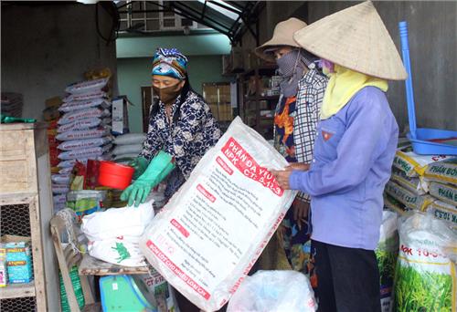 Phổ Yên gieo cấy trên 5.100ha lúa mùa